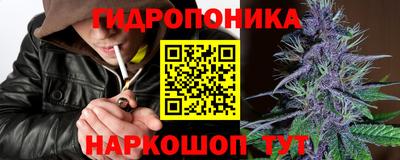ешки Владивосток