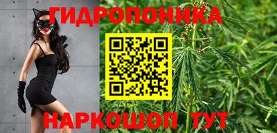 ешки Владивосток
