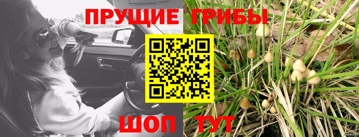 Строитель  Псилоцибиновые грибы Psilocybe  Вход с VPN  где купить наркоту  Галлюциногенные грибы Magic Shrooms 